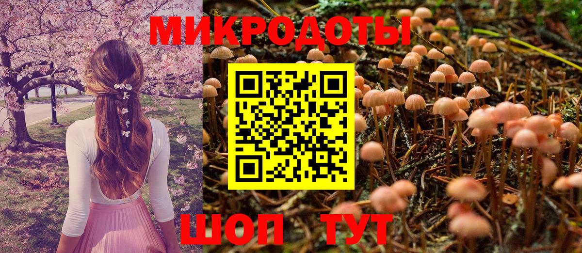 Галлюциногенные грибы Psilocybe Благодарный