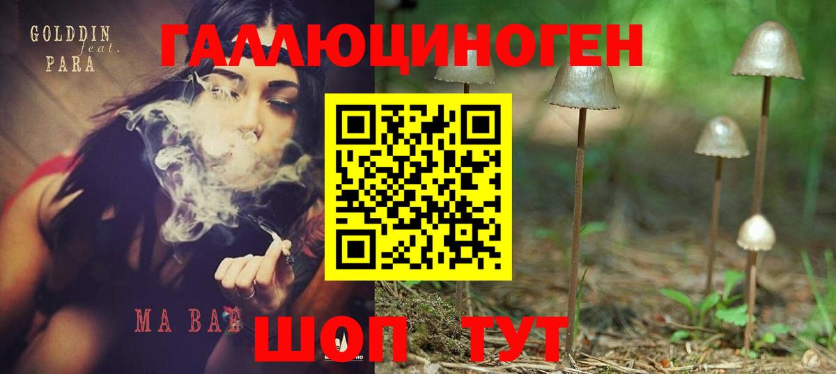 купить наркотик  Вход с VPN  Благодарный  Псилоцибиновые грибы ЛСД 